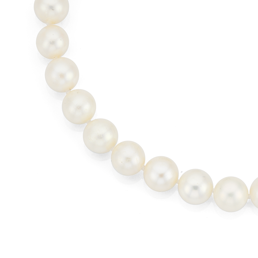 Sterling Silver 6-7mm Freshwater Pearl 50cm Necklace in Sterling Silver 6-7mm Freshwater Pearl 50cm Necklace in